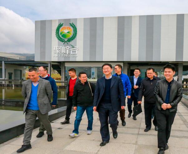 集团党委书记、董事长任丁率队调研聚峰谷